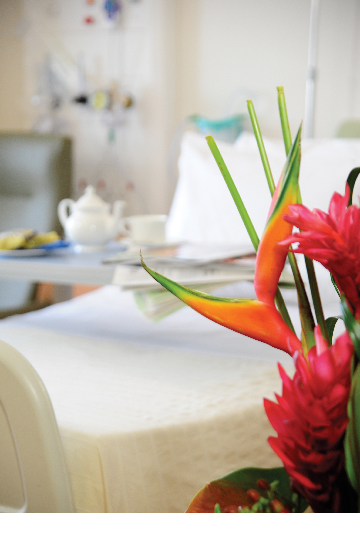 RFL-PPU-Bed RFL-PPU-Bed